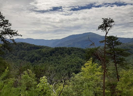 north-carolina/great-smoky-mountains/attraction/cataract-falls