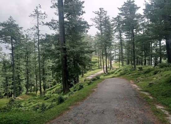 pakistan/azad-jammu-and-kashmir/attraction/jammu-view-point-pamnoti