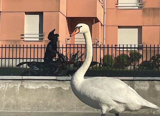 italy/brianza/attraction/spiaggia-di-vercurago