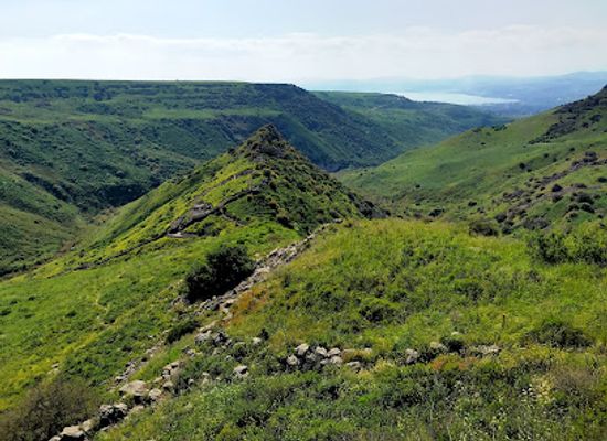 israel/golan-heights/attraction/gamla-nature-reserve
