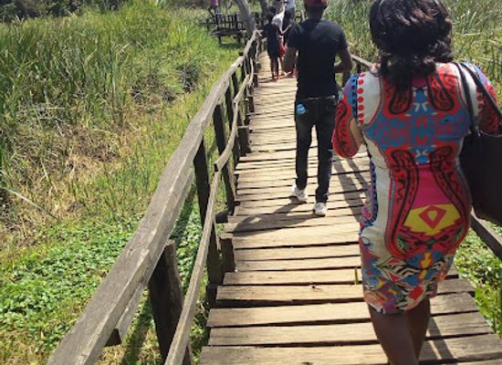 kenya/pokot-region/attraction/saiwa-swamp-national-park