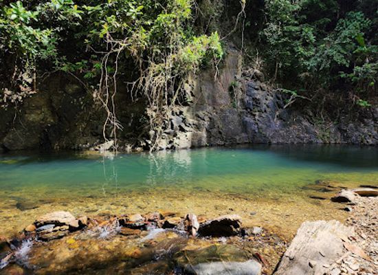 trinidad-and-tobago/mayaro/attraction/three-pools