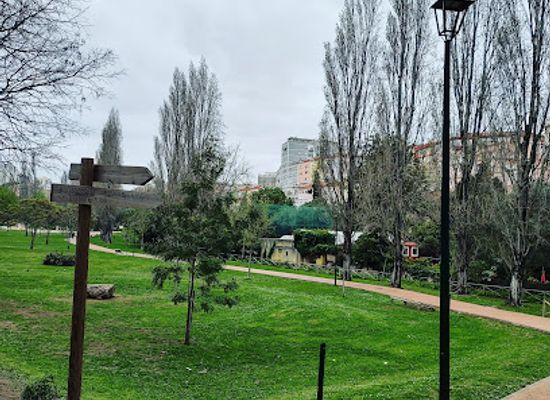 portugal/beira-alta/attraction/park-felicio-loureiro