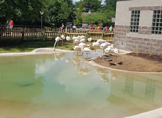 illinois/western-illinois/attraction/miller-park-zoo
