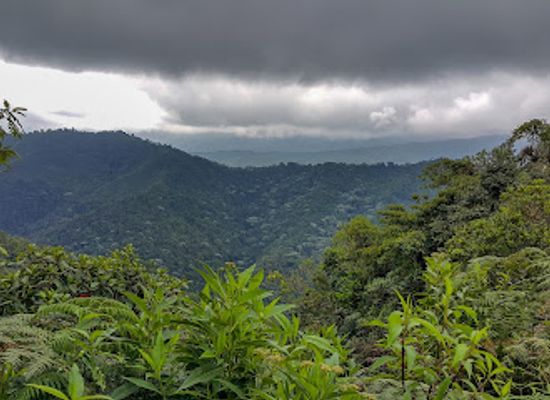 colombia/cocora-valley/attraction/reserva-natural-la-patasola