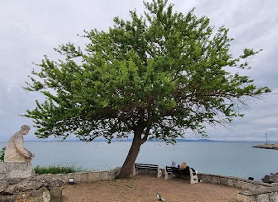 bulgaria/pomorie/attraction/pomorie-center