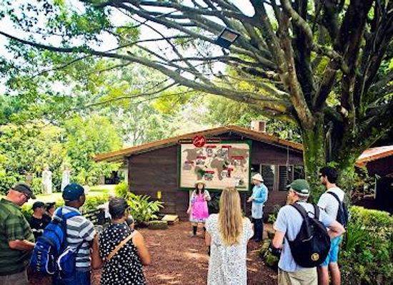 costa-rica/central-valley/attraction/britt-coffee-tour