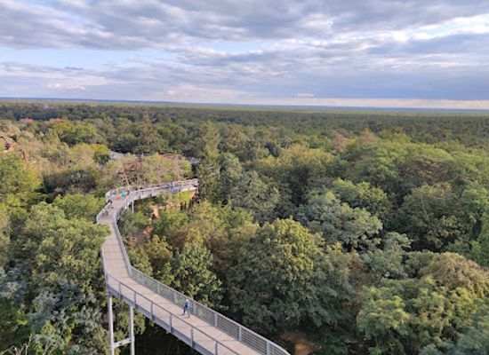germany/brandenburg/attraction/baum-und-zeit