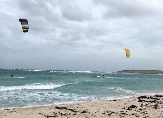 aruba/sero-blanco/attraction/grapefield-beach