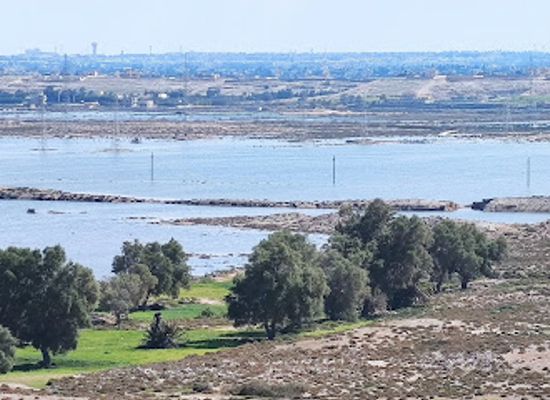 egypt/nile-delta/attraction/taposiris-magna