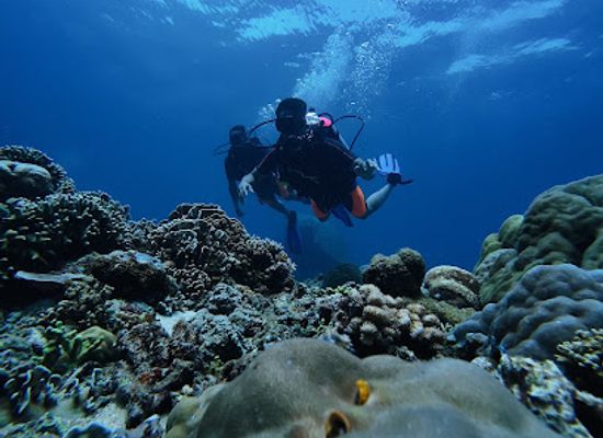 indonesia/gili-islands/attraction/halik-dive-site