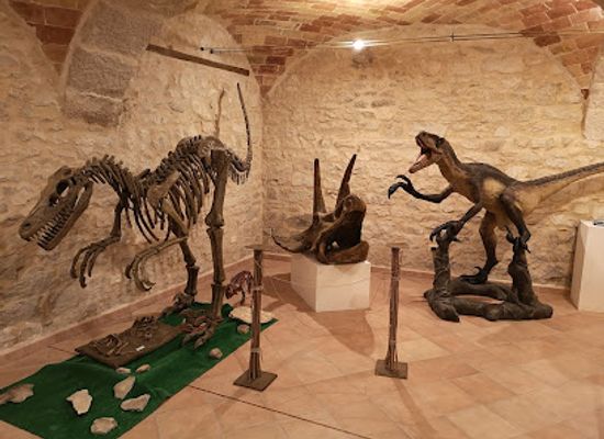 italy/abruzzo/attraction/museo-dei-fossili-e-delle-ambre