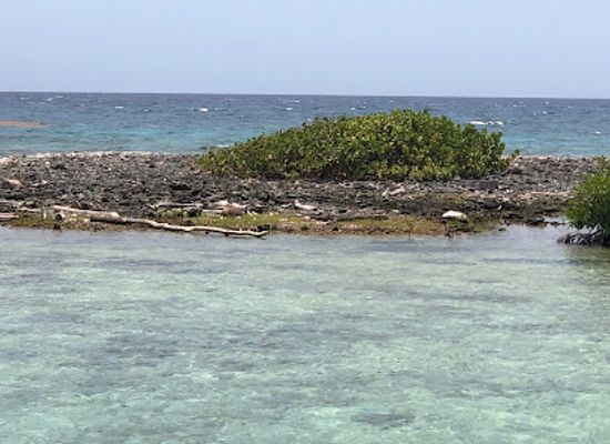 belize/glover-s-reef-atoll/attraction/belize-experiment-adventure-and-tours