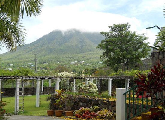 saint-kitts-and-nevis/saint-john-figtree-parish/attraction/nevis-botanical-gardens