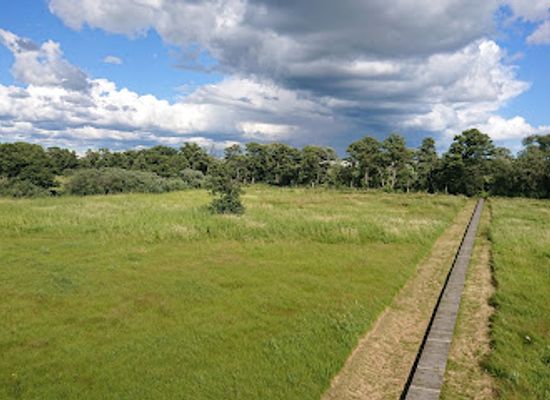 estonia/kuressaare/attraction/kuressaare-birdwatching-tower