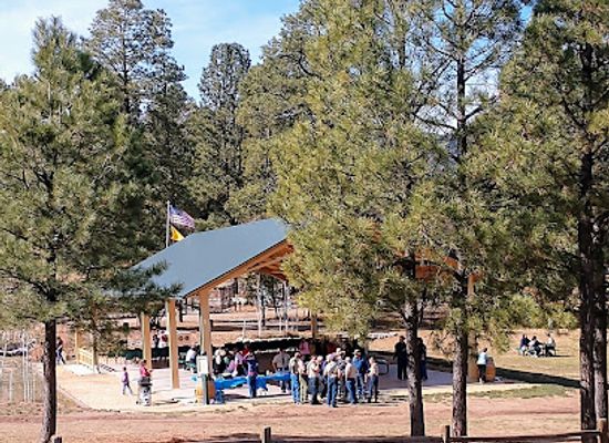 new-mexico/ruidoso/attraction/wingfield-park-children-s-corner