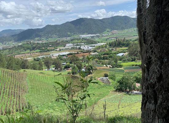 dominican-republic/constanza/attraction/ita-rosado-hills