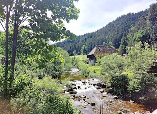 germany/black-forest/attraction/alter-schwarzwaldhof-dritter-bauer