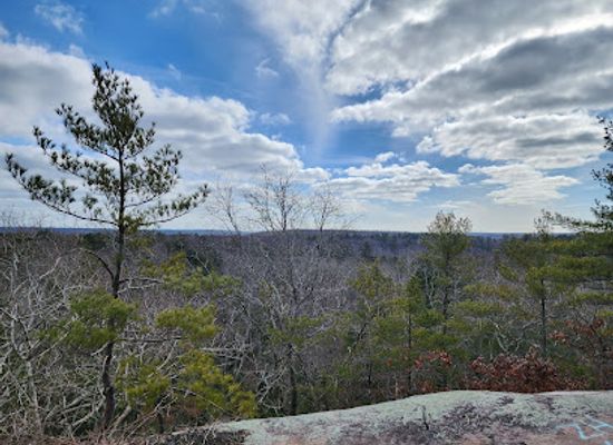 rhode-island/arcadia-management-area/attraction/wickaboxet-management-area
