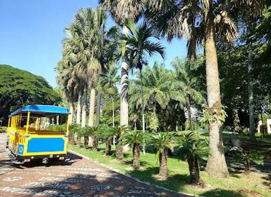 dominican-republic/santo-domingo/attraction/national-botanical-garden-dr-rafael-maria-moscoso