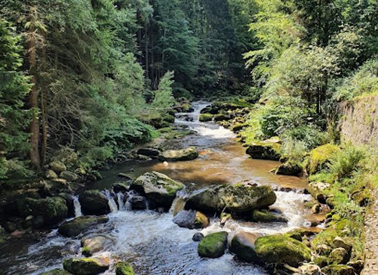 czechia/silesia/attraction/szlak-walonski
