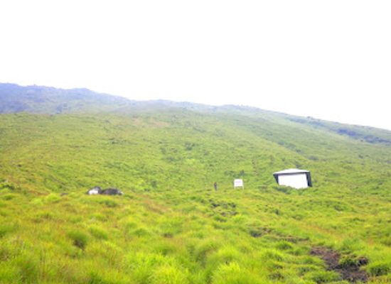 cameroon/south-west-region/attraction/cameroon-mountain