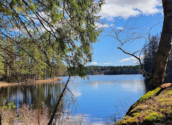 sweden/ostergotland/attraction/glotternskogen-nature-reserve