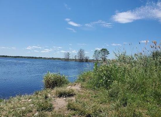 michigan/bay-city/attraction/nayanquing-point-state-wildlife-area