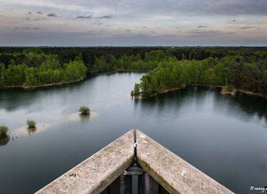 netherlands/limburg/attraction/uitkijktoren-lommelse-sahara