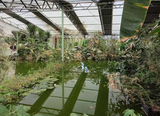 italy/salento/attraction/parco-naturale-e-giardino-botanico-in-acquaponica-ezen