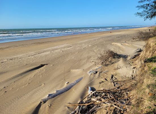 brunei/tutong-beach/attraction/istana-pantai