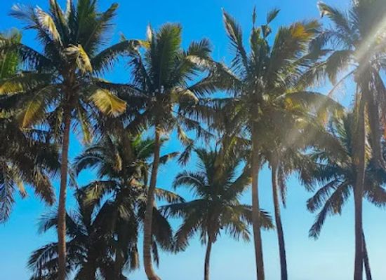 madagascar/atsimo-andrefana/attraction/plage-de-madiorano