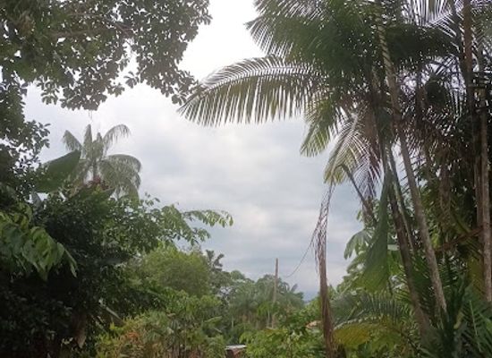 colombia/leticia/attraction/santander-1-park