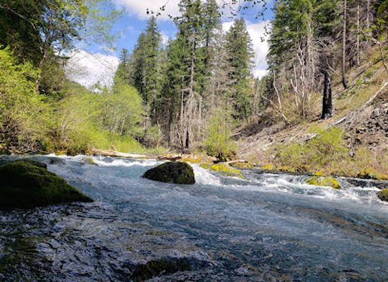 oregon/linn-county/attraction/tamolitch-falls-blue-pool
