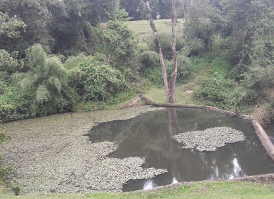 kenya/mount-longonot/attraction/gichiengo-dam