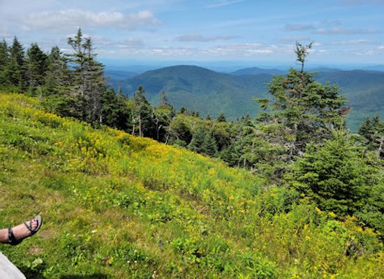vermont/rutland-county/attraction/the-saint-bruno-scenic-viewing-center