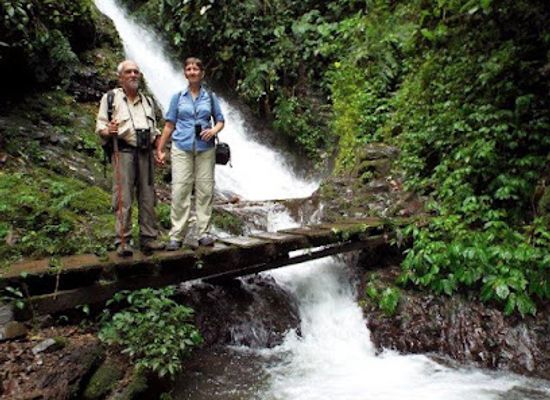 ecuador/mindo/attraction/mindo-cloudforest-tours