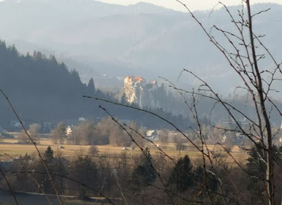 slovenia/bled/attraction/gradisce
