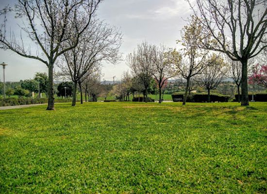 israel/modi-in/attraction/yiftach-brigade-park