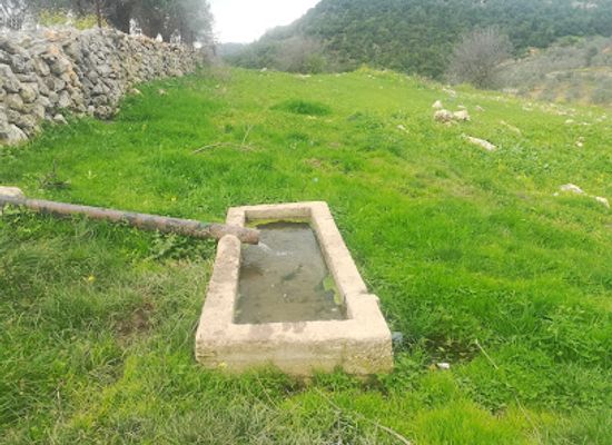 jordan/ajloun-highlands/attraction/Ain-Wadi-Al-Jeb