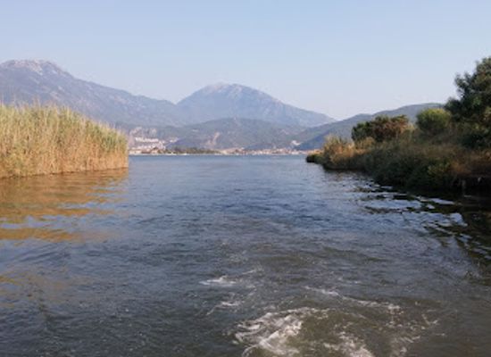 turkiye/saklikent-gorge/attraction/calis-beach-bird-sanctuary
