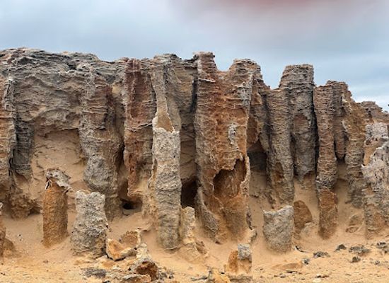 australia/western-victoria/attraction/petrified-forest