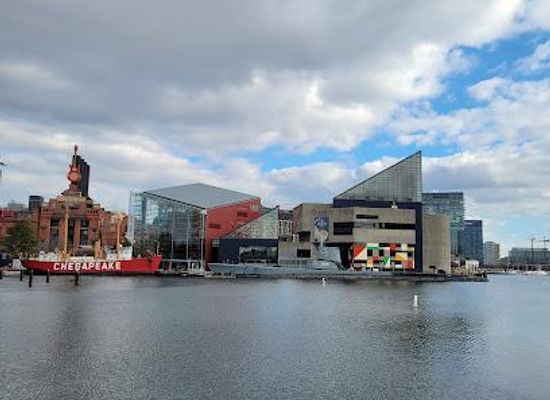 maryland/baltimore/attraction/national-aquarium