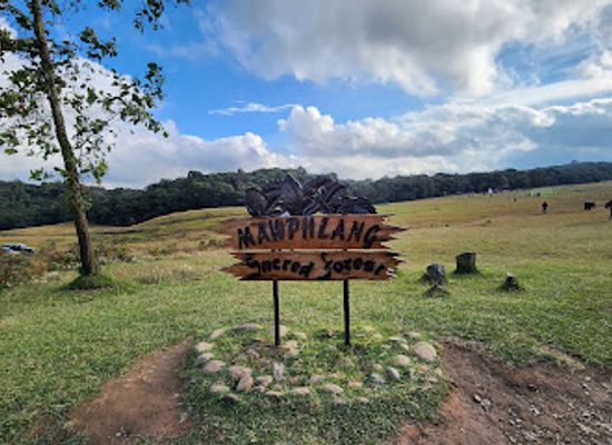 india/meghalaya/attraction/mawphlang-sacred-forest-lawkyntang