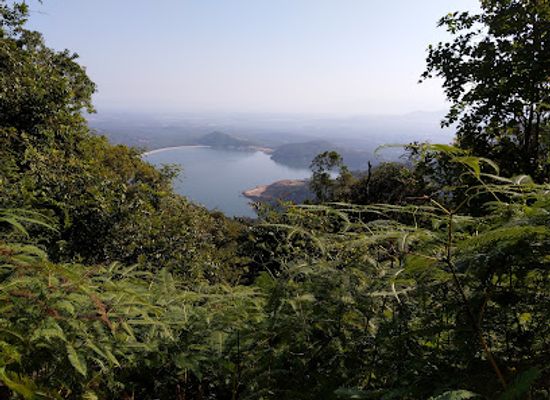 malaysia/central-region/attraction/cherok-tokun-nature-park-national-forest