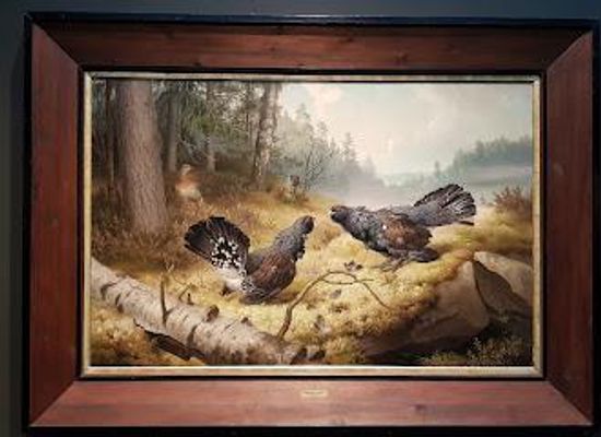 finland/helsinki/attraction/finnish-national-gallery