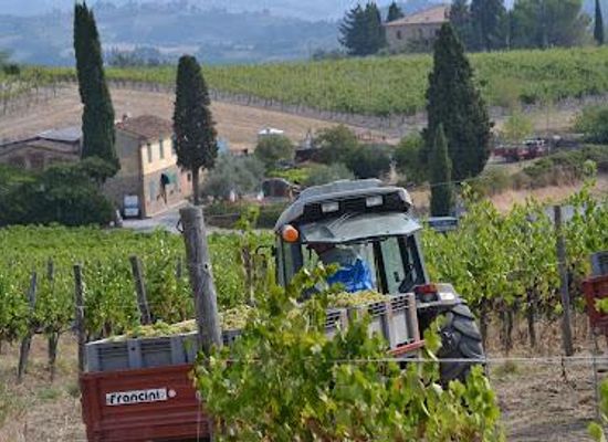 italy/san-gimignano/attraction/azienda-agricola-san-quirico