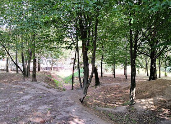 poland/lublin/czuby/attraction/mini-park-z-debem-szypulkowym-i-mini-tor-rowerowy