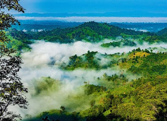 bangladesh/sajek-valley/attraction/megh-palki-eco-resort-sajek