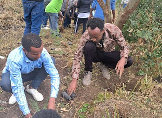 ethiopia/dire-dawa/attraction/afran-qalloo-village